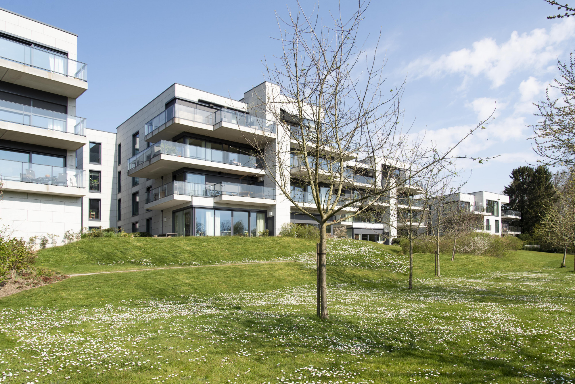 Lindepark